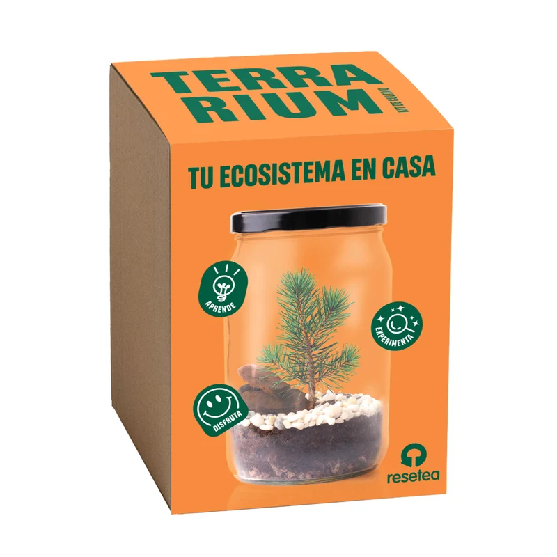 Kit Terrarium Pino – Crea Tu Ecosistema En Miniatura En Casa, Regalo Original - Resetea