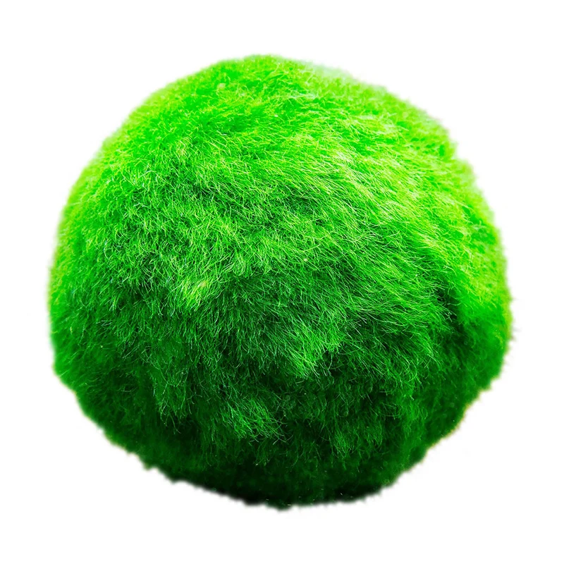 Bolas De Musgo Marimo - 10 Unidades - Cladophora Aegagropila - 3 Cm