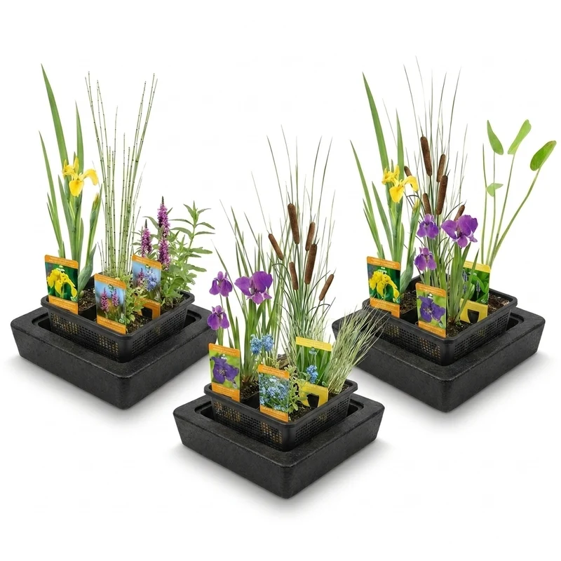 Set Sorpresa Plantas Estanque - 12 Plantas Incl. Isla Flotante