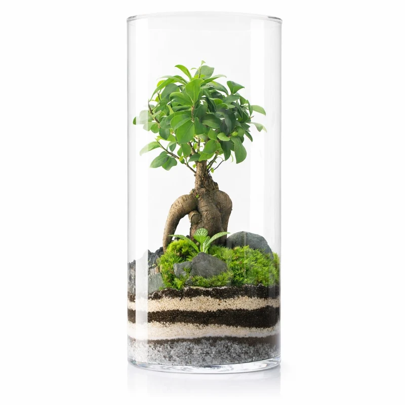 Terrario Amazonia Tower 25x52 Cm