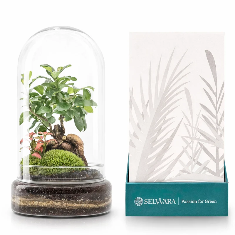Terrario Madagascar Forest 19x36 Cm