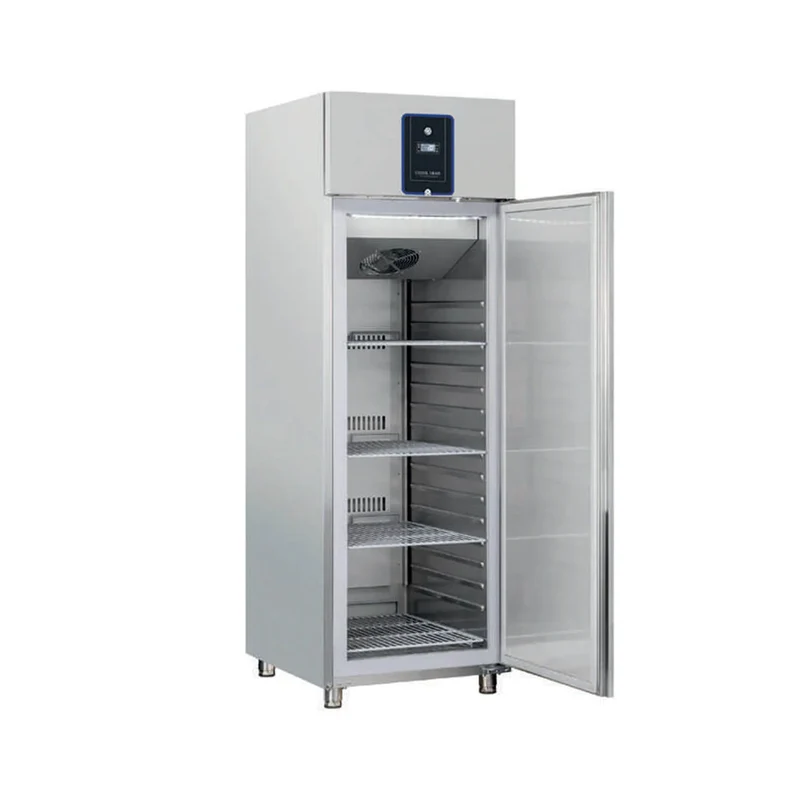 QR6 5A - ARMARIO PROFESIONAL REFRIGERANTE