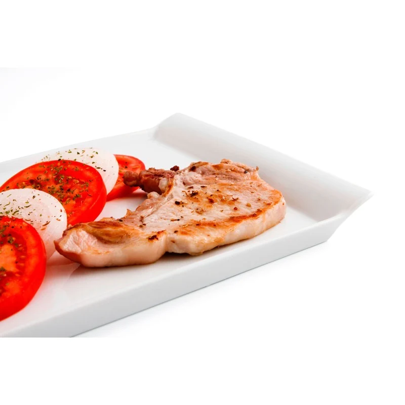 FUENTE PLANCHA 31CM GASTRO